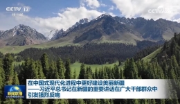 在中国式现代化进程中更好建设美丽新疆——习近平总书记在新疆的重要讲话在广大干部群众中引发强烈反响