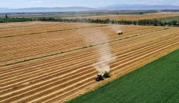 China proposes 8 tasks to ensure food security