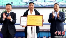 西藏日土：让中国好羊绒“绒”耀世界