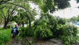 China maintains flooding, typhoon emergency response levels in southern regions