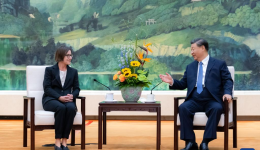 Chinese president meets Red Cross president