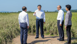 Xi visits flood-affected villagers in NE China's Heilongjiang Province