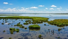 新时代中国调研行·黄河篇丨花湖蝶变