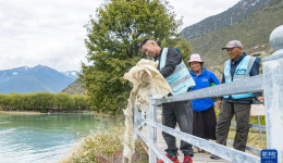 西藏林芝：守护绿水青山