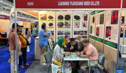 Chinese companies take center stage at int'l agricultural expo in Egypt