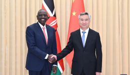 Senior Chinese official meets Kenyan president
