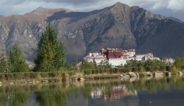 Lhasa mountains to be upgraded with latest round of afforestation