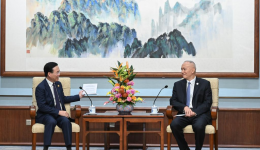 Senior CPC official meets Vietnamese president
