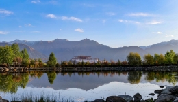 Across China: Tibet's largest afforestation project protects 