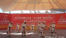 2023年西藏自治区“九九重阳 情暖夕阳红”老年人体育交流展示大会在拉萨举行