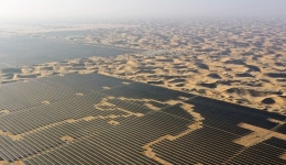 UN official hails China's green growth