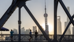 (CIIE) China's import expo earns global recognition for promoting development and cooperation