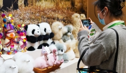 (CIIE) World Insights: U.S. businesses at CIIE expect promising prospect in China