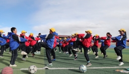 Xizang establishes 15-year publicly-funded school education system: official