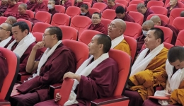 All registered monks, nuns in Xizang covered by healthcare, pension schemes: official