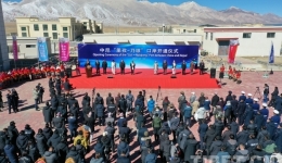 南亚新通道里孜口岸正式开通