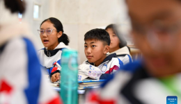 China Focus: Xizang schools visits, interviews debunk 