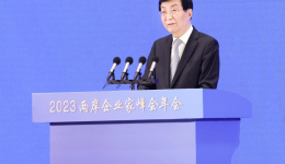 Annual conference of Cross-Strait CEO Summit opens in Nanjing