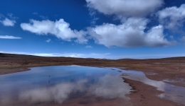 China's Qinghai sees decreasing desertified, sandy land