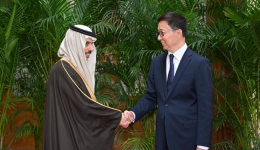 Chinese VP meets delegation of Arab-Islamic foreign ministers