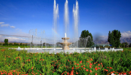 海南州：护绿增绿造绿 尽享“绿色红利”