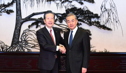 Top Chinese diplomat meets Japanese guests in Beijing