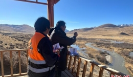 青海生态管护员：2920页日志记录守护高寒湿地岁月