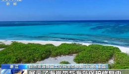 自然资源部：我国“山水工程”累计完成生态修复治理面积8000万亩