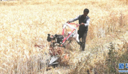 西藏谢通门县拉嘎村用上了“小型农机”