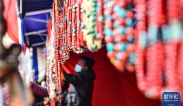 西藏日喀则康马县物交会红红火火