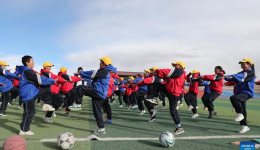 European Parliament resolution built on sand: China Daily editorial