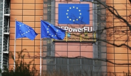 Yearender: Europe grappling for united Gaza ceasefire call