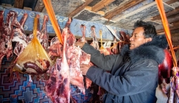 让农牧民不受冻不受灾——来自羌塘高原腹地的一线观察