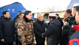 Chinese vice premier stresses urgency in quake-relief efforts