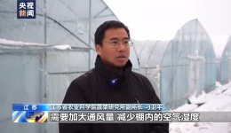 应对低温雨雪冰冻灾害 各地多举措保障农作物安全过冬