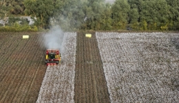 Roundup: Experts reject Western propaganda against Xinjiang