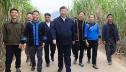 时政微观察丨推进乡村全面振兴是“三农”工作总抓手