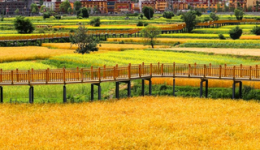 特别策划丨Show出甘孜城乡融合新图景（一）