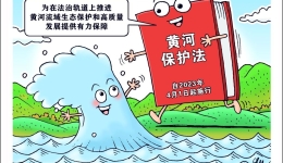 2023年，那些温暖了你我的法律法规