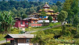Rinchenbung Scenic Area: Tibetan Buddhism and Primitive Forest