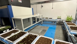 新华全媒+|从第三届三亚国际种业科学家大会看种业振兴新动态