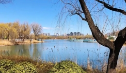 “三九”却逆向升温！多地暖如三月 后期或有大范围雨雪