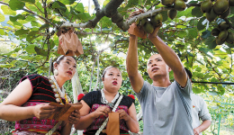 Xizang aims for steady economic growth this year