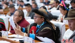 西藏珞巴族政协委员林勇忆述求学和参政经历