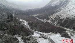 西藏珞巴族女乡长：墨脱公路带来巨变和希望感