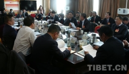 西藏：筑牢国家生态安全屏障 政协委员出实招