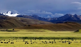 “天空之城”理塘：2023旅游成绩单亮眼！