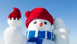 Supply-side reforms unleash momentum in China's ice-and-snow economy