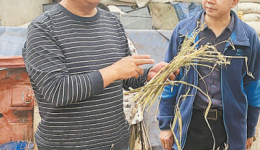 Animal husbandry expert stays rooted to remote prefecture for 38 years