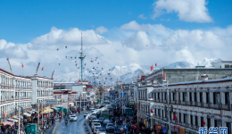西藏拉萨：满天细雪映美景